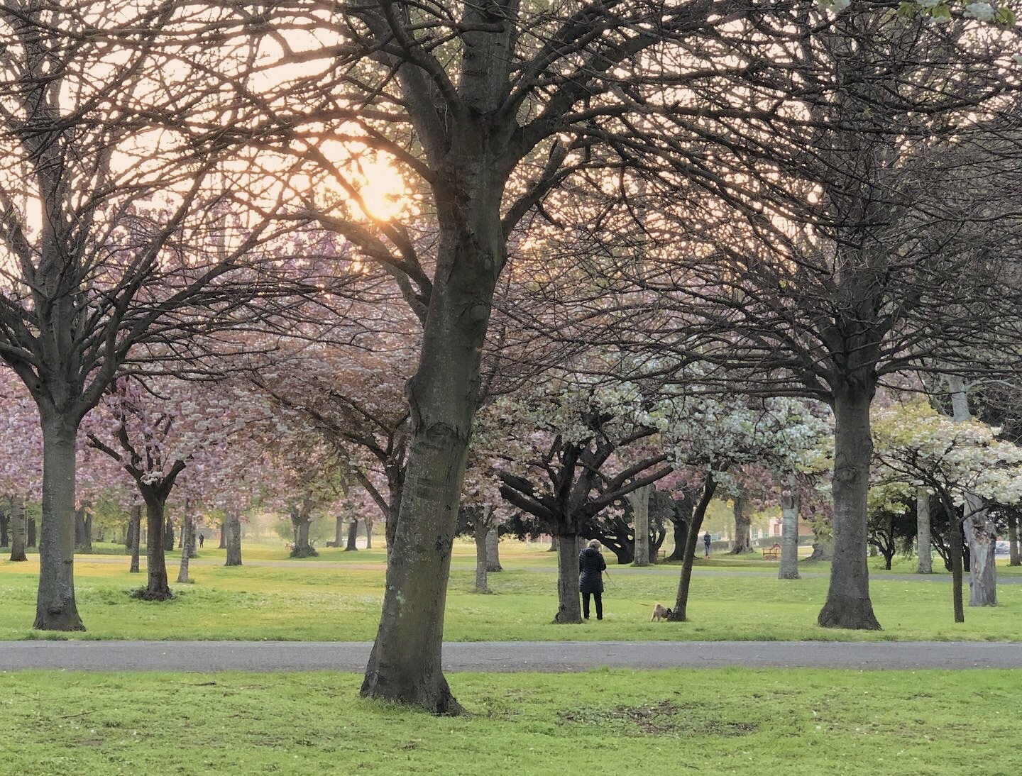 Going to the memorial garden in spring