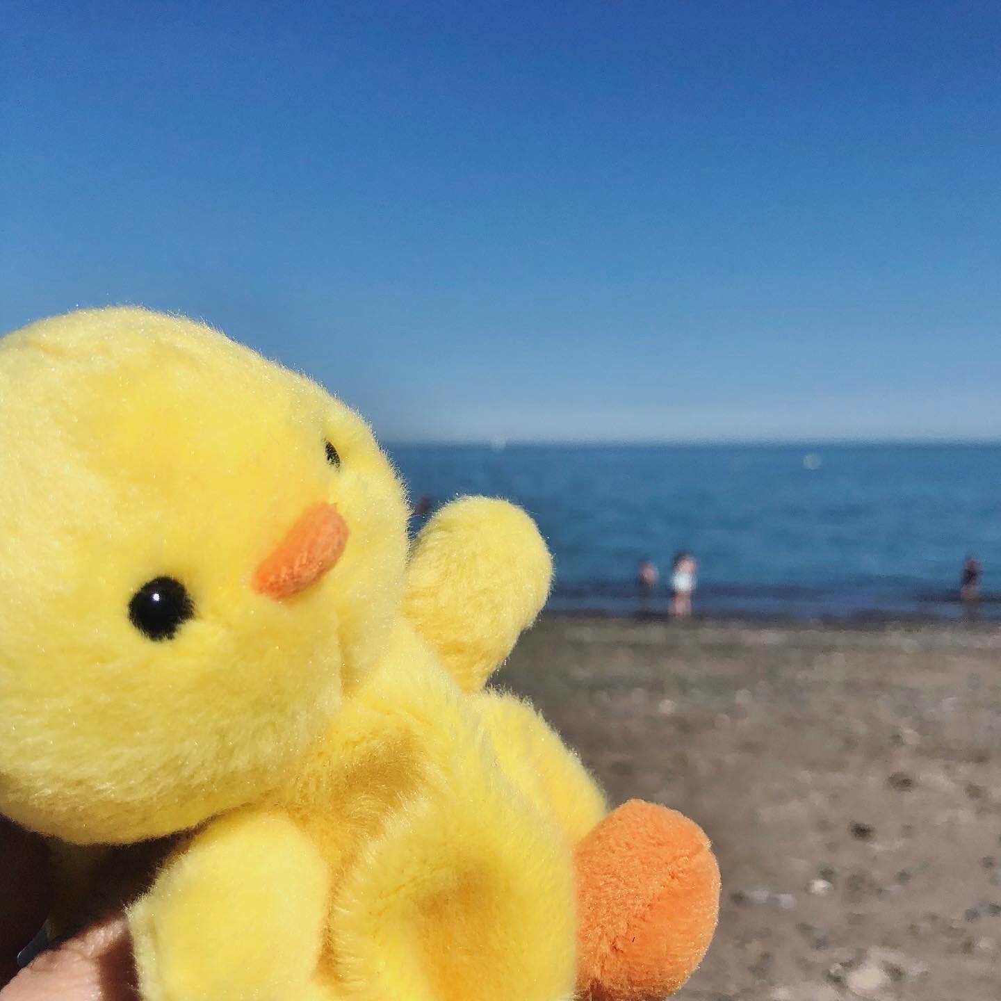 Having watermelon on the beach is very kimochi